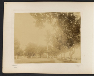 Autumn trees along waterfront, Shameen Island, Canton