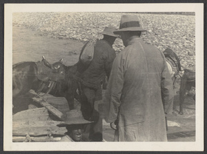 A good picture of a pre-war cassock [sic] saddle.