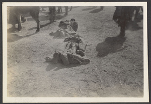 Tsinghai.  Tibetan woman prostrating around monastry [sic] - Kumbum.