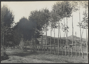 On the road from Lungchow.  Typical landscape.