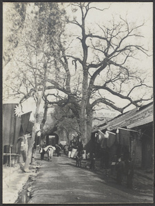 Lungchow, Shensi.  Looking toward the West Gate.