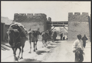 Up from Kuyuan.  Camel trains leaving San Ying.