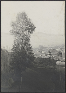 Chiang Chia Ch'uan, Kansu.  The city from the hill to the north.