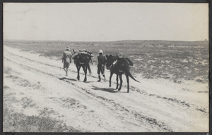 On the border of the Odos Desert.  Salt incrusted earth.