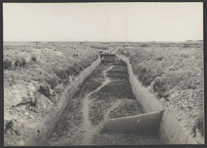 Northern Ningsia.  Canals are cleaned every year before the water is allowed in.