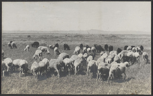 Chiang Chia Miao, Suiyuan.  On the Mongolian Plain.