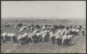 Chiang Chia Miao, Suiyuan.  On the Mongolian Plain.