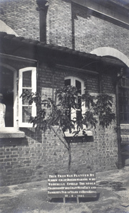 A tree planted by W. Drew (C.M. of Boilermakers), Hong Kong