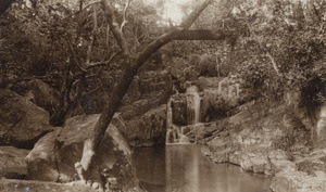 A waterfall, stream, and a bridge, Hong Kong