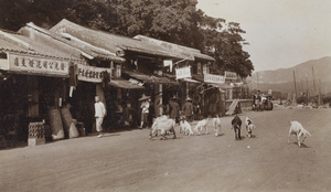 Goats and shops, Hong Kong