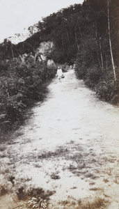Man carrying a basket walking along a hill track