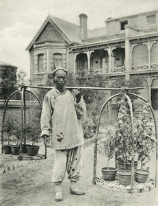 An itinerant flower and plant vendor, in a garden outside houses, Shanghai