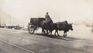 A municipal watering cart on the Praya, Hong Kong