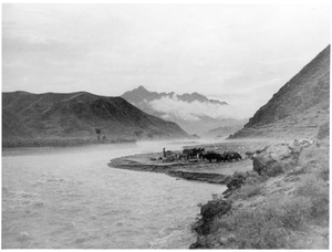 Mules and livestock by the side of the flooded Pei Chu Ma Ho River, 1938