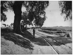 A sentry by a road, Central Hebei province (冀中)