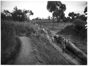 Michael Lindsay (林迈可)'s escort on a path through fields of crops