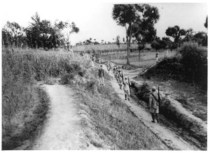 Michael Lindsay (林迈可)'s escort on a path through fields of crops