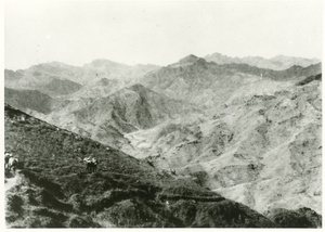 Mules on a mountain path, en route to Yan'an (延安), 1944