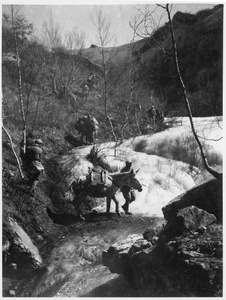 On the journey from Shansi-Suiyuan Headquarters to the Yellow River, 1944