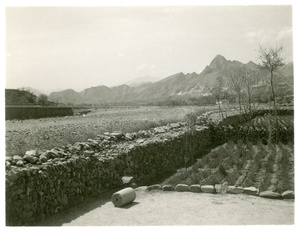 Crops growing near a dried up watercourse