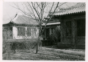 Garden and buildings