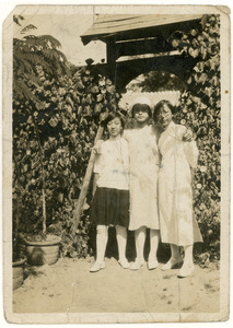 Three unidentified young women in a garden 