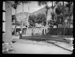 Agricultural workers threshing rice with wooden beaters in a courtyard