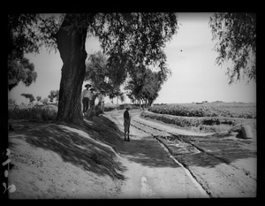 A sentry by a road, Central Hebei province (冀中)