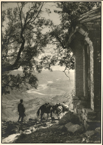 A soldier and mules by a wayside shrine, at a pass, going south from Pei Chu Ma Ho valley