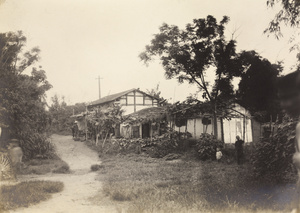 Roadside houses and produce stall, Taiwan