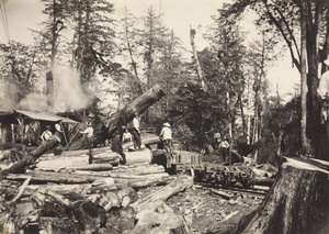 Loading timber onto a railway wagon, Alishan Forest Railway, Taiwan