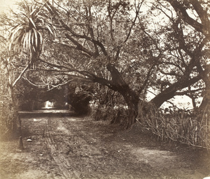 Tao Lak Avenue, Taiwan