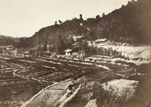 Fields and aboriginal village below Polesiu, Taiwan