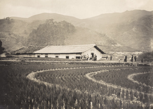 A new church and rice field