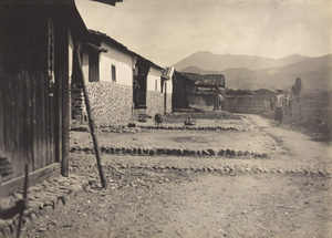 Houses in a village, Fujian province
