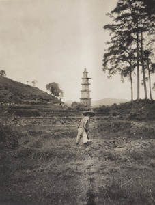 Tilling a field, Dehua, Fujian province