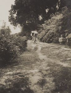 Porter and carrier on a steppered road near Dehua