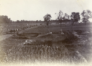 Convoy on the road to Peking