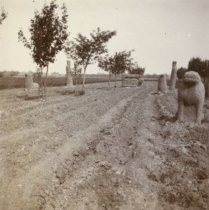 Ancient grave in a ploughed field