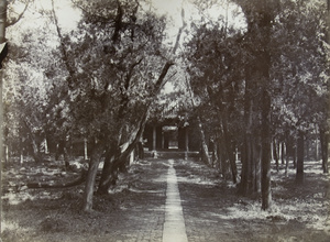 The Temple of Confucius, Qufu