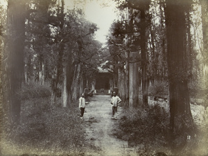 In the cemetery of the family of Confucius, Qufu