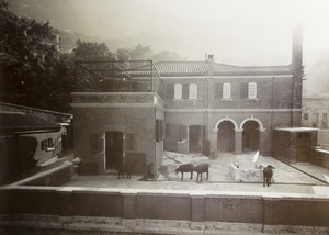 The Experimental Block, Bacteriological Institute, Caine Lane, Hong Kong