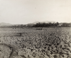 A valley near Deep Bay (后海灣), on the border between the New Territories (新界) and Shenzhen (深圳), Hong Kong