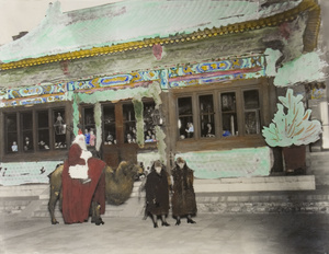 Father Christmas arrives at the British Legation on a camel, Beijing, 1923