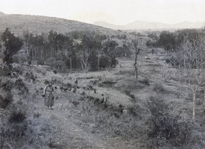 Hills near Soochow (苏州)