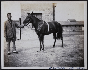 Stable hand with the racehorse 'Warwick'