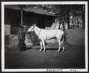 Woman with the racehorse 'Sandown'