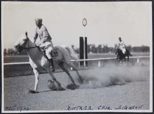 'Aintree' passes the finishing post