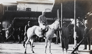 A woman posing with a racehorse