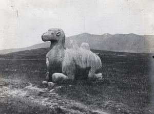 Stone camel, Spirit Way (南京), Xiao Ling Mausoleum (孝陵), near Nanjing (南京市)